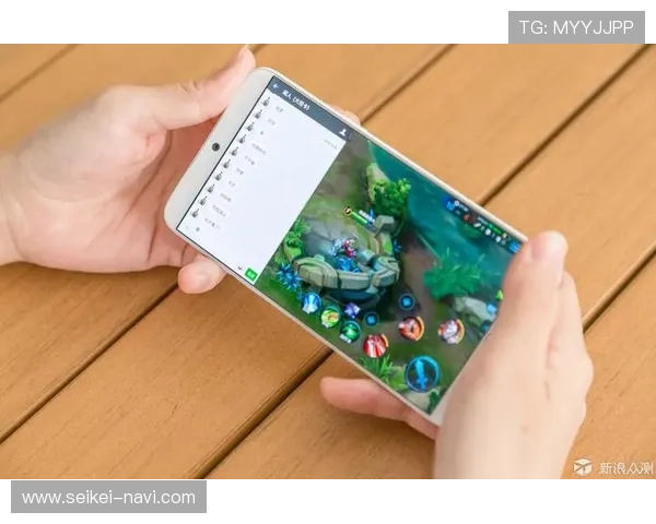 博鱼app官方入口电脑版功能特色全面介绍以及优化体验的实用技巧